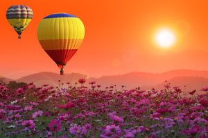 Hot air balloons at sunset   